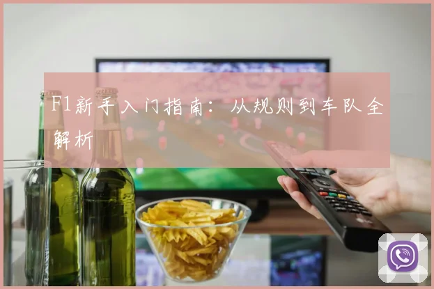 F1新手入门指南:从规则到车队全解析