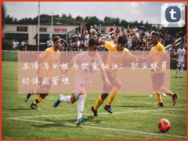 本泽马训练与饮食秘诀:职业球员的体能管理